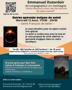 affiche eclipse 2026