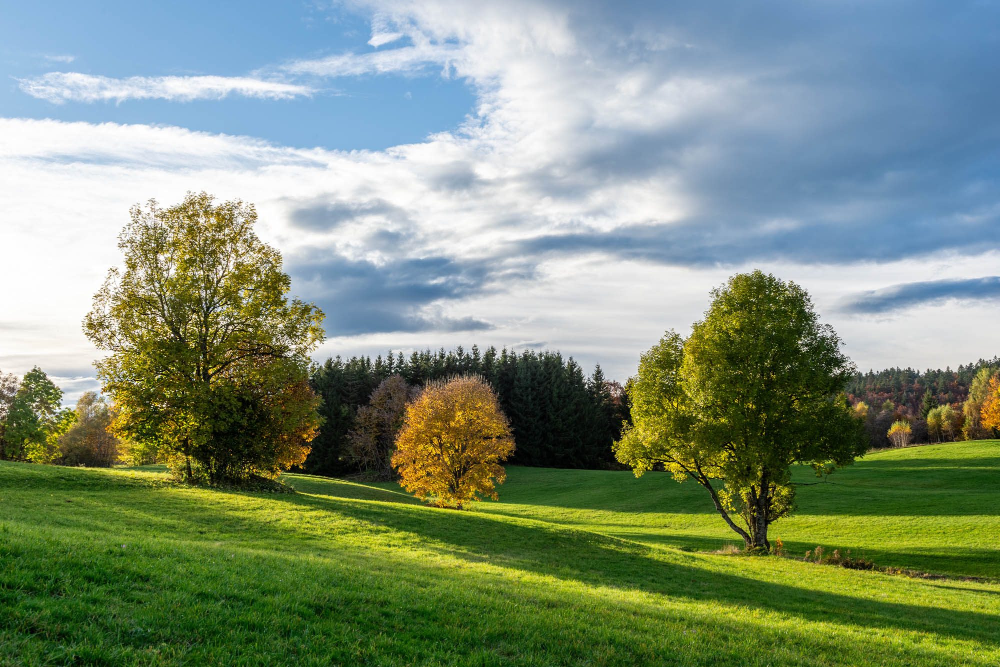Plateau du Revard