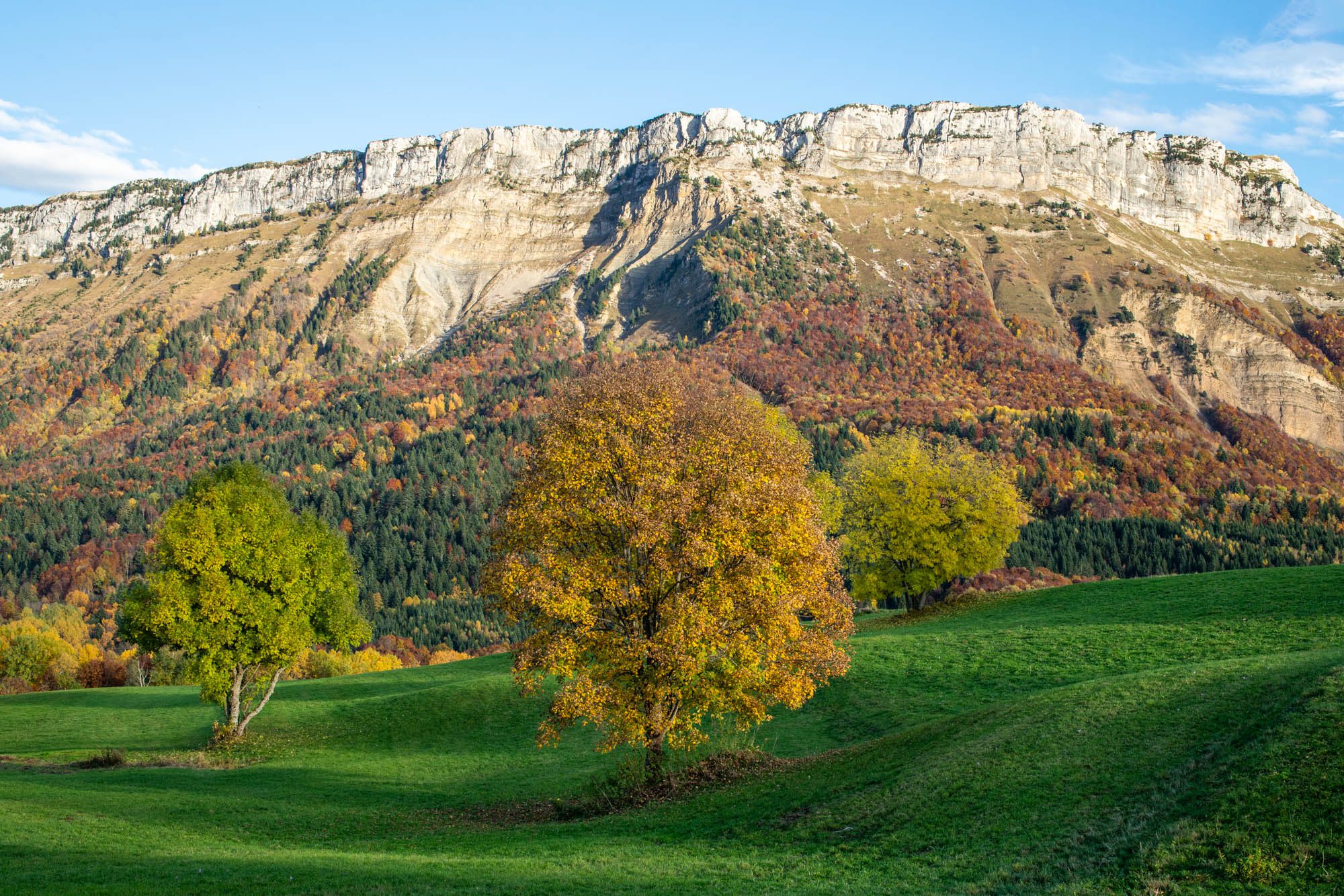 plateau du revard en automne