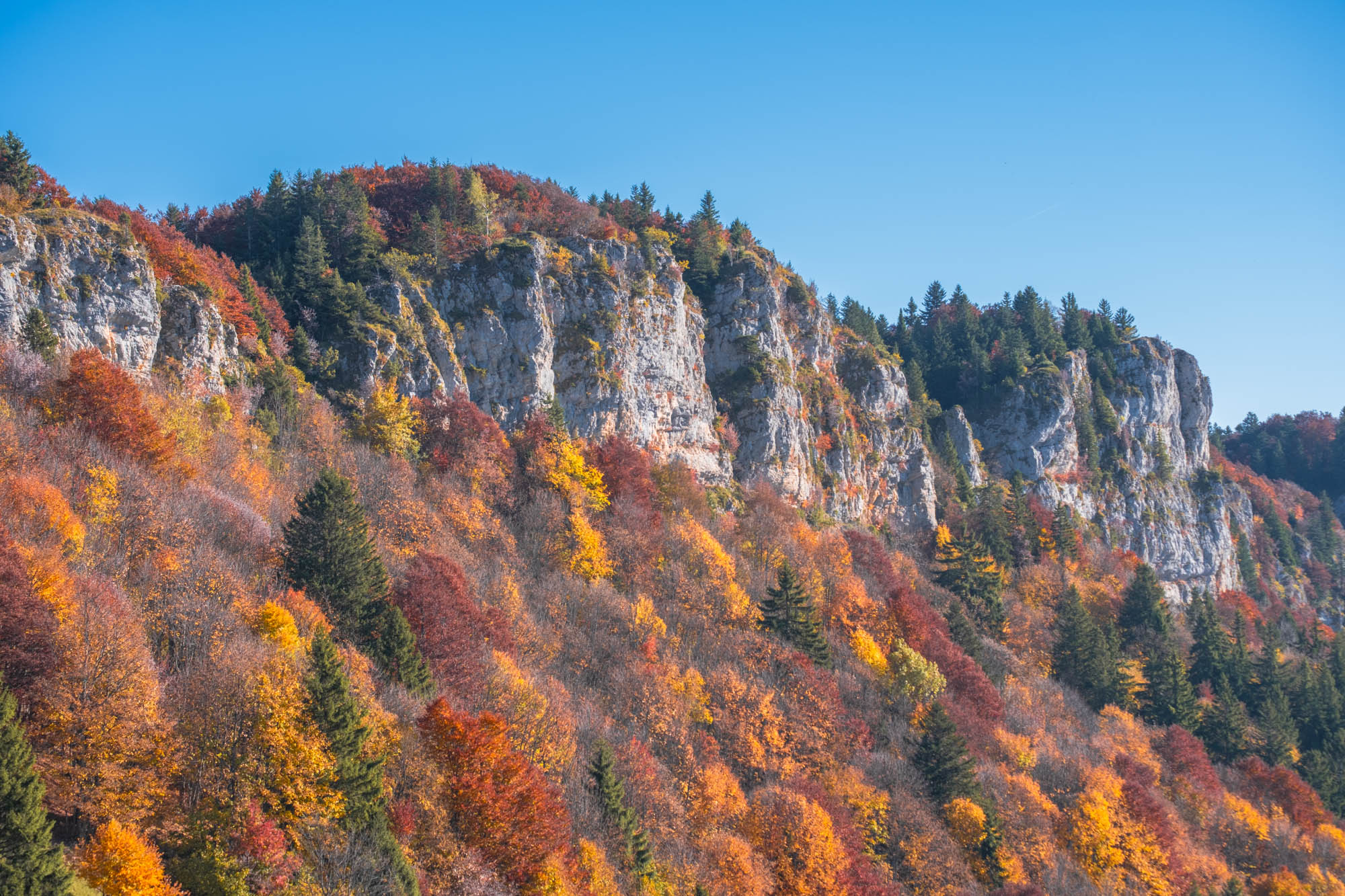 Automne